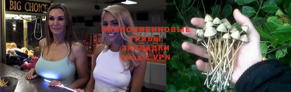 ECSTASY Алексин