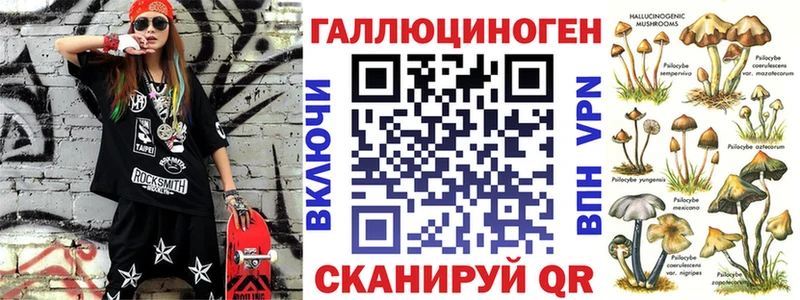 hydra ССЫЛКА  Данилов  Псилоцибиновые грибы Psilocybe 