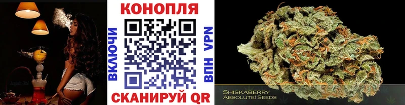omg tor Данилов Конопля White Widow